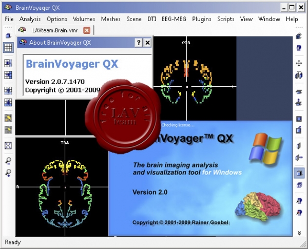 Brain Innovation BrainVoyager QX v2.0.7