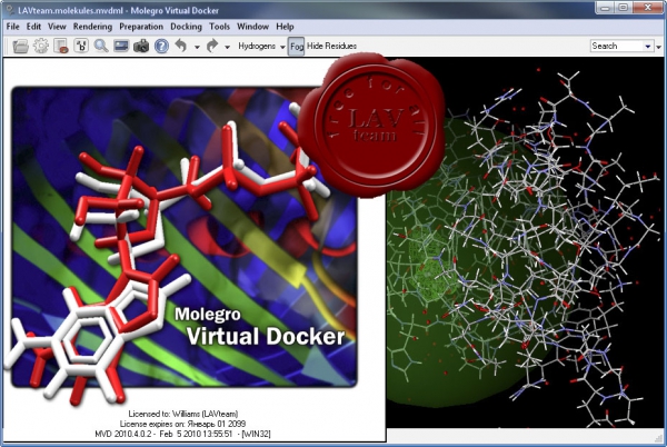 Molegro Virtual Docker v4.0.2