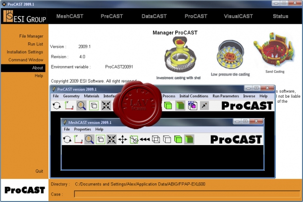 ESI Group ProCAST 2009.1