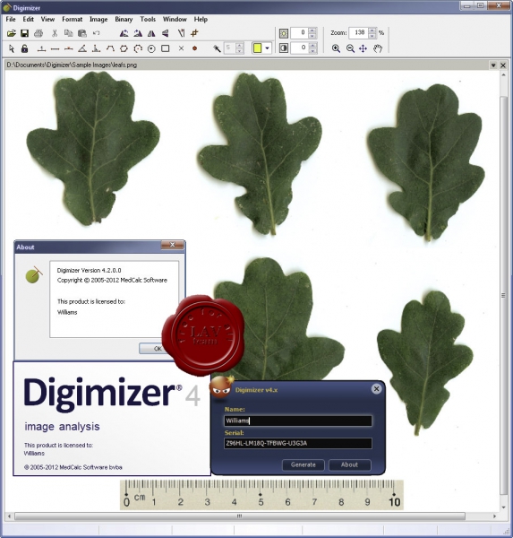 MedCalc Digimizer v4.2.0.0