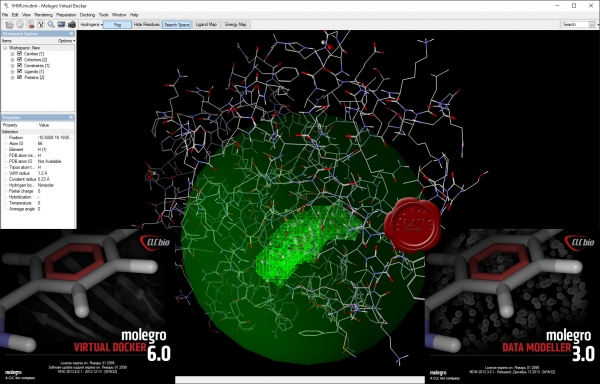 Molegro Virtual Docker 2013 v6.0.1 & Molegro Data Modeller 2013 v3.0.1