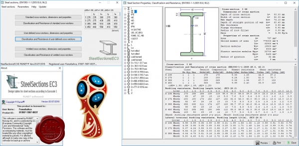 RUNET software Steel Sections EC3 version 03.07/2018