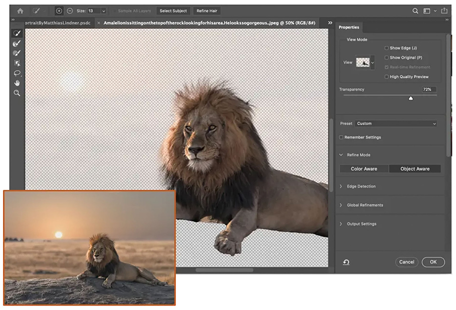 Adobe Photoshop 2021 v22.0.1.73 + CameraRaw v13.0.2